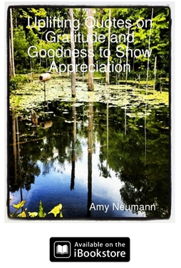 Uplifting Quotes on Gratitude and Goodness to Show Appreciation - social good quotes book  by Amy Neumann